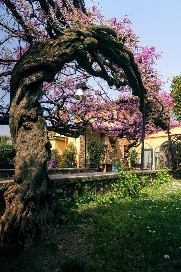 Il Glicine B&B Ristorante Cazzago San Martino Exterior photo