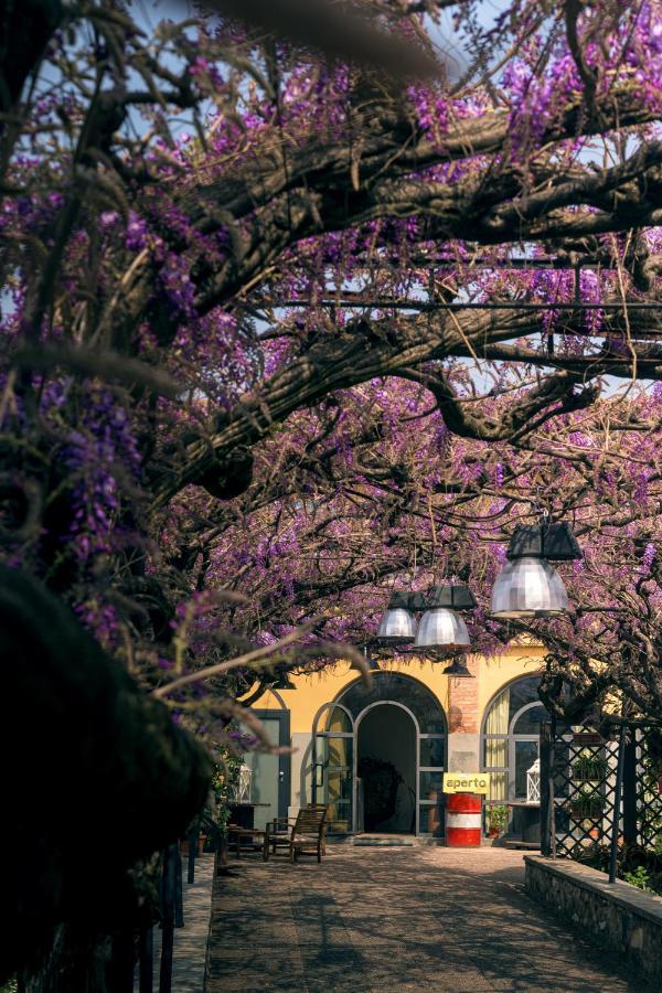 Il Glicine B&B Ristorante Cazzago San Martino Exterior photo
