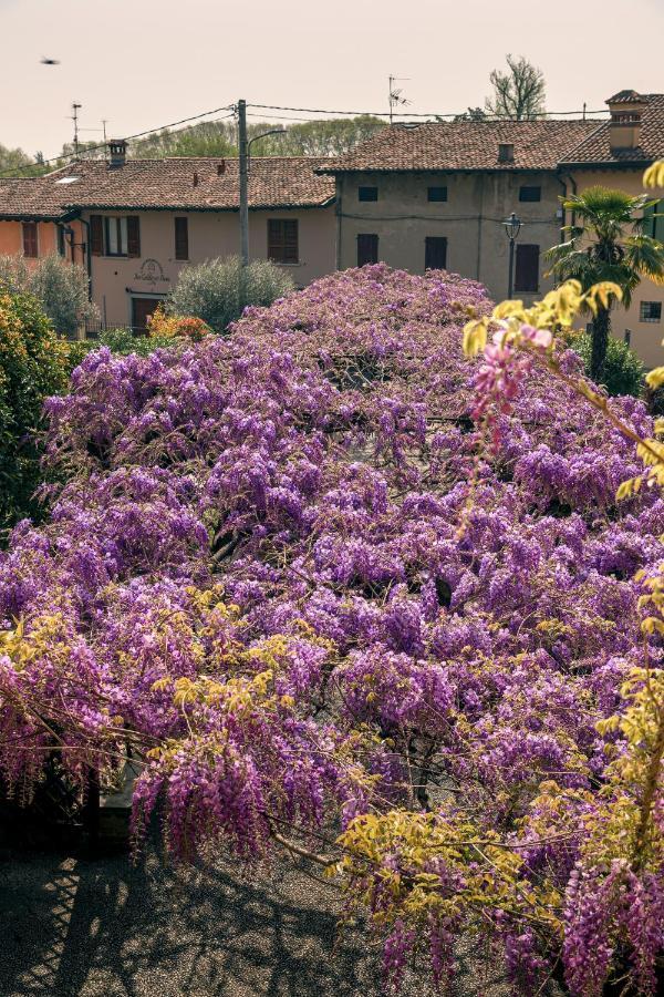 Il Glicine B&B Ristorante Cazzago San Martino Exterior photo