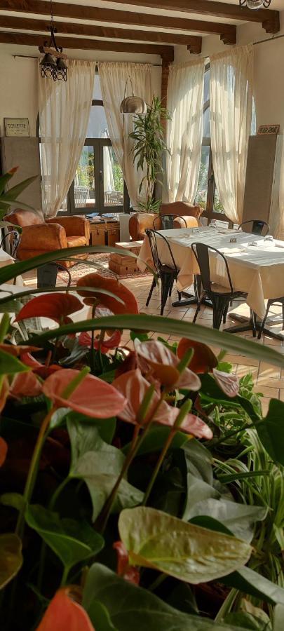 Il Glicine B&B Ristorante Cazzago San Martino Exterior photo